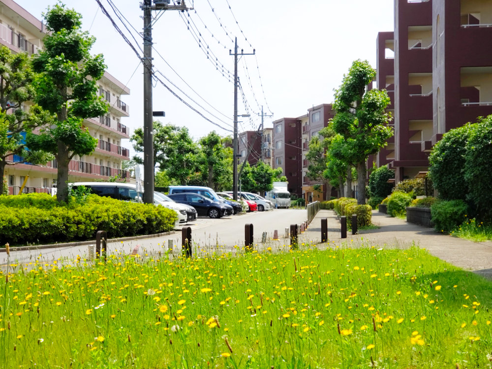 千葉ニュータウン高花団地