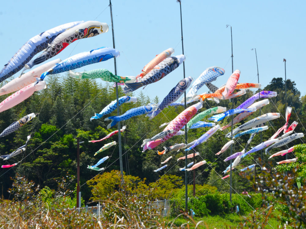 第21回小林鯉のぼり2026｜千葉県印西市