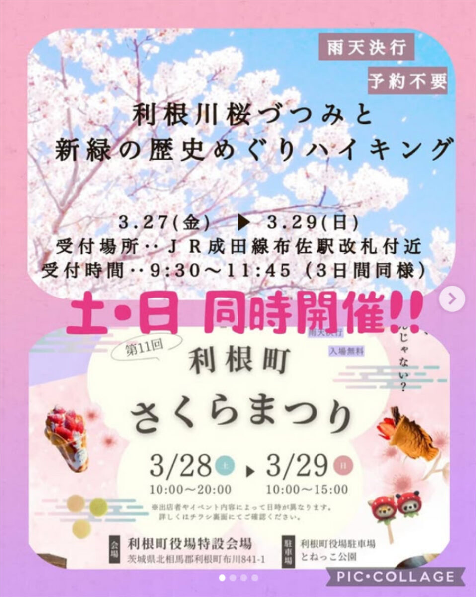 利根町さくらまつり2026