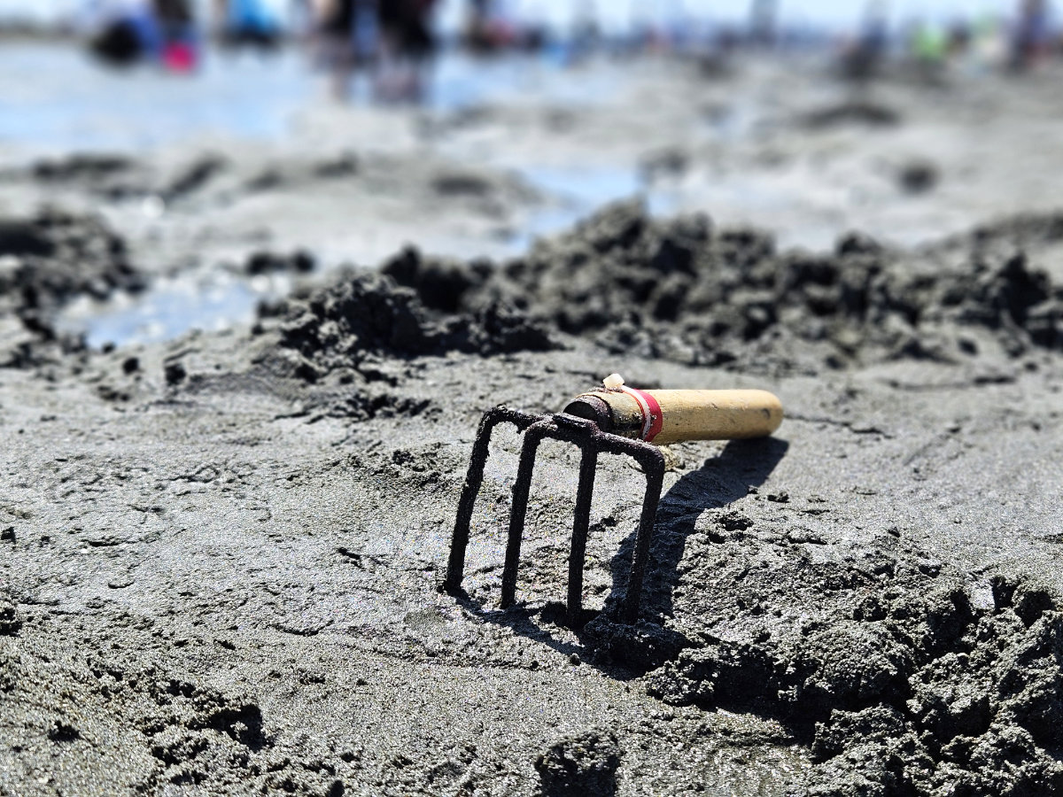 千葉北部・茨城南部の3大潮干狩りスポット