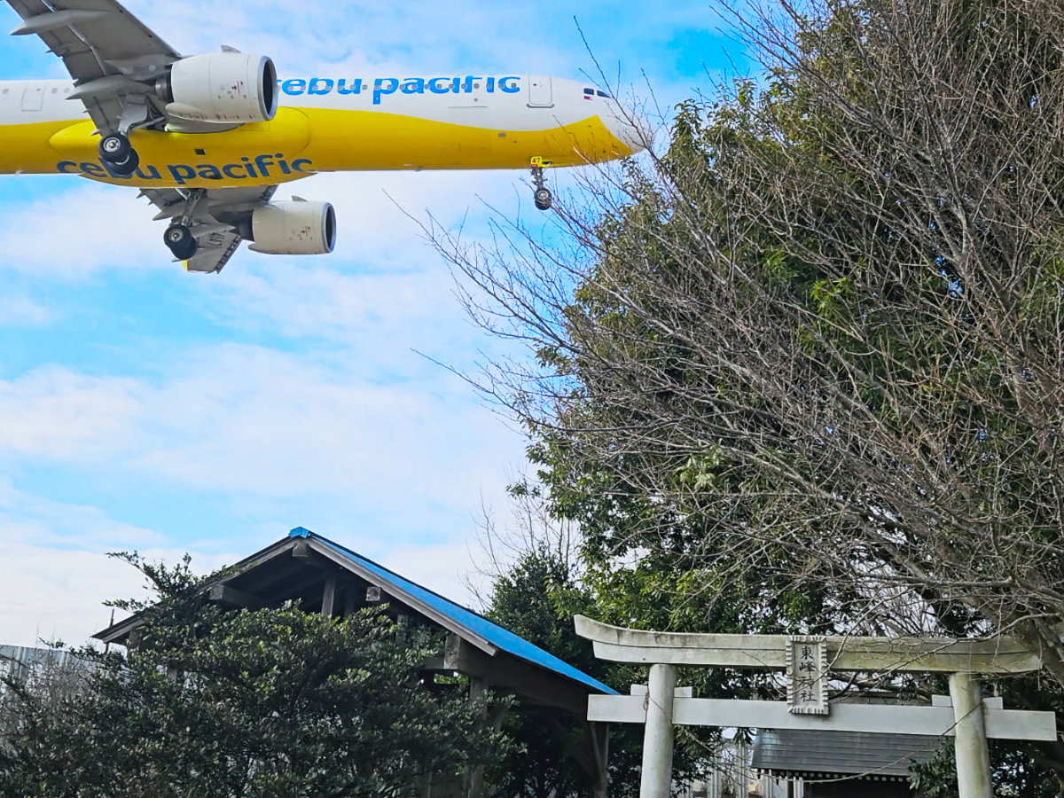 東峰神社で飛行機を見る！成田空港建設の歴史を簡単に紹介
